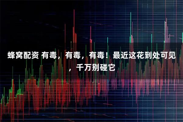 蜂窝配资 有毒，有毒，有毒！最近这花到处可见，千万别碰它