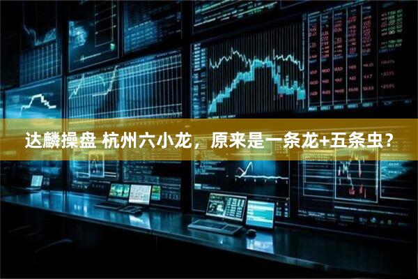 达麟操盘 杭州六小龙，原来是一条龙+五条虫？